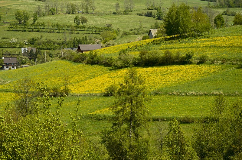 21 - Góra Chabówka. Widokowe szlaki w okolicach Rabki