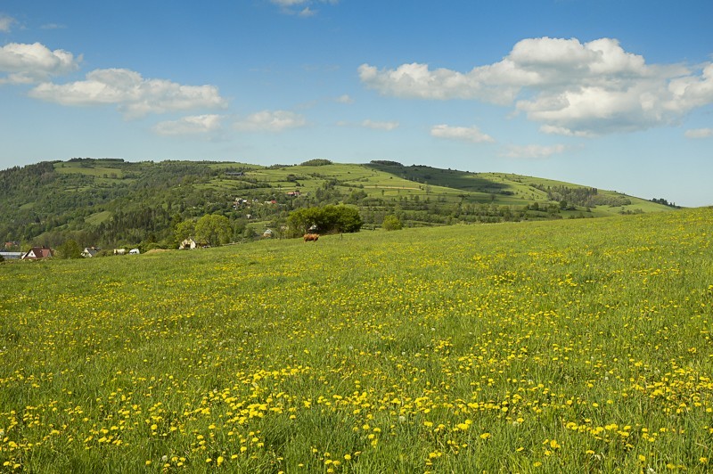 Chabówka