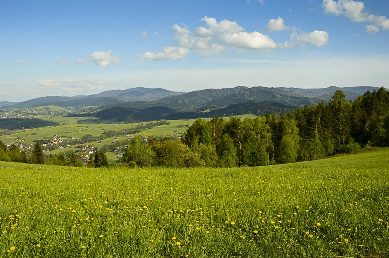 54 - Góra Chabówka. Widokowe szlaki w okolicach Rabki