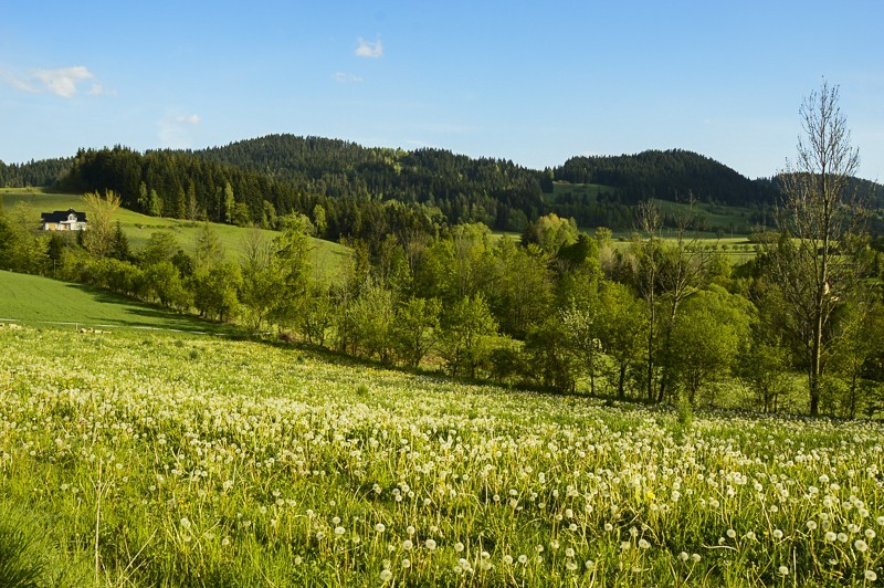 78 - Góra Chabówka. Widokowe szlaki w okolicach Rabki