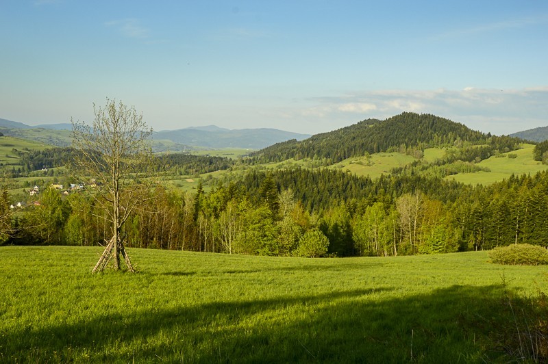 79 - Góra Chabówka. Widokowe szlaki w okolicach Rabki