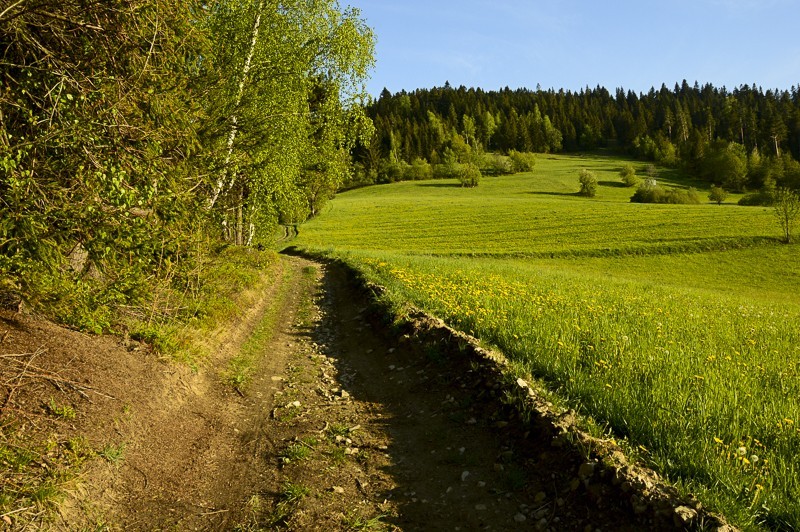 83 - Góra Chabówka. Widokowe szlaki w okolicach Rabki