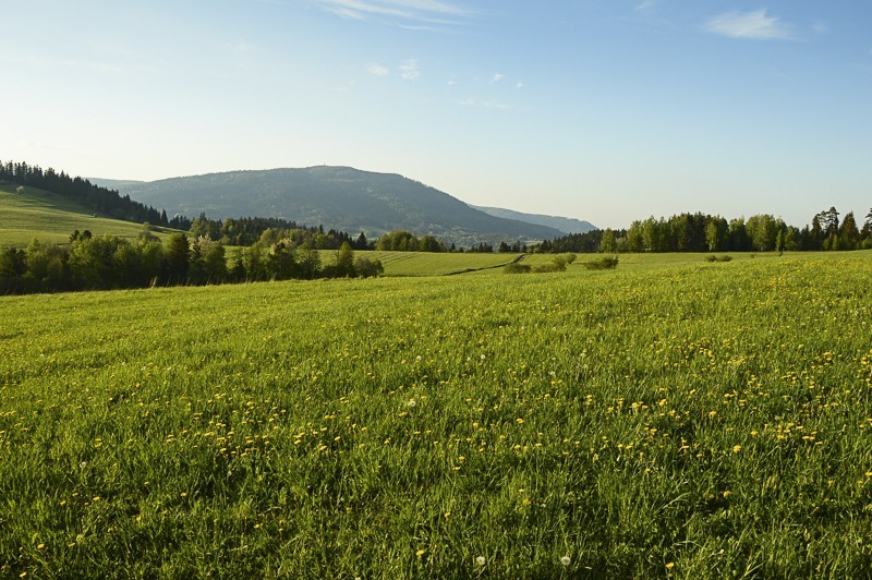 Luboń Wielki