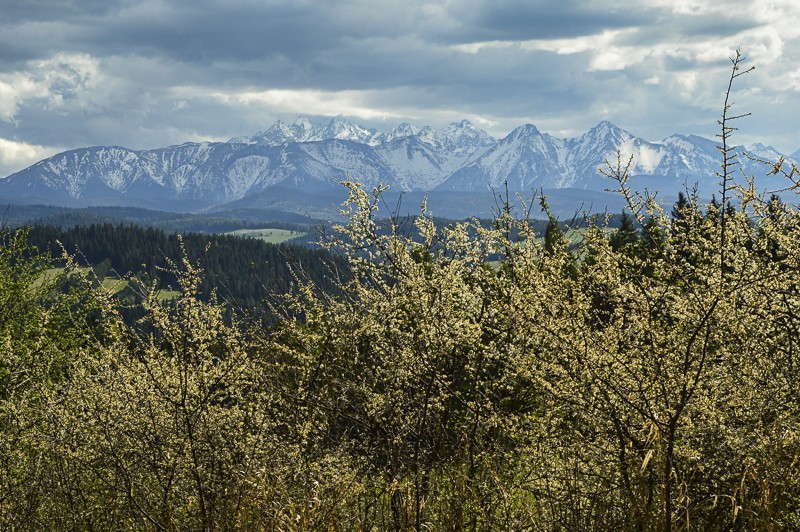 Przełęcz Osice