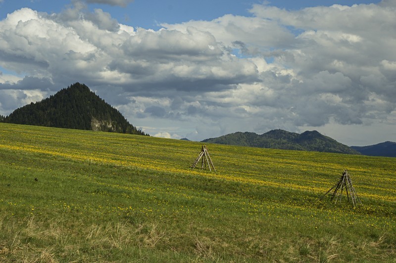 Przełęcz Osice