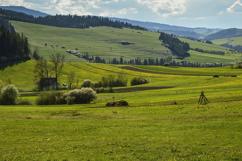 Przełęcz Osice