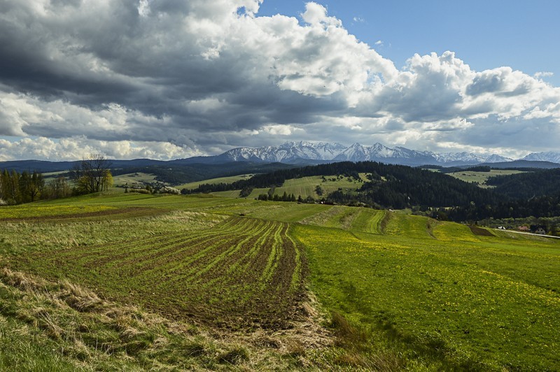 Przełęcz Osice