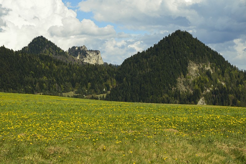 Przełęcz Osice