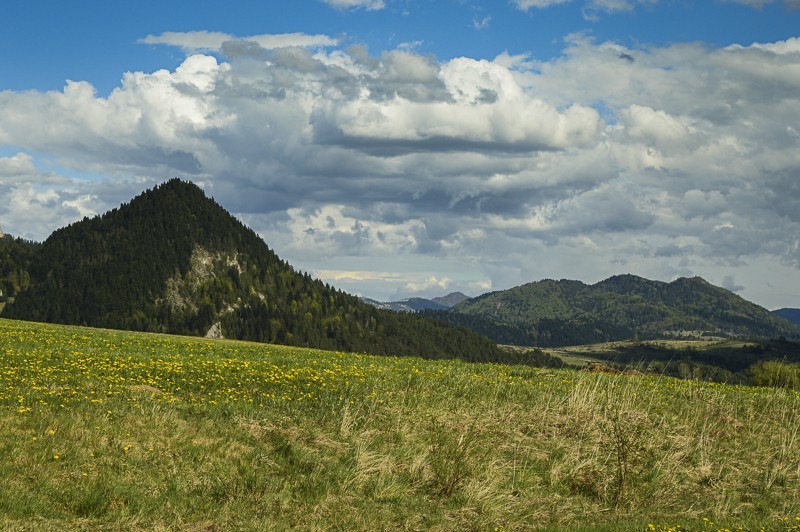 Przełęcz Osice