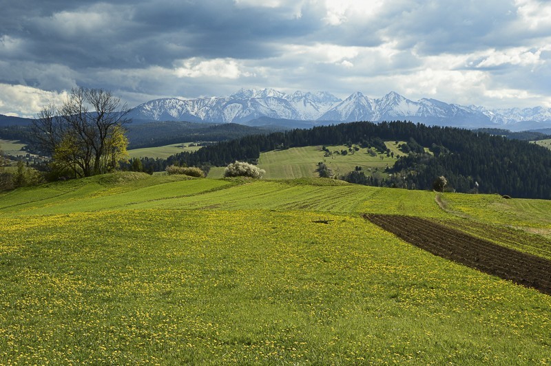 Przełęcz Osice