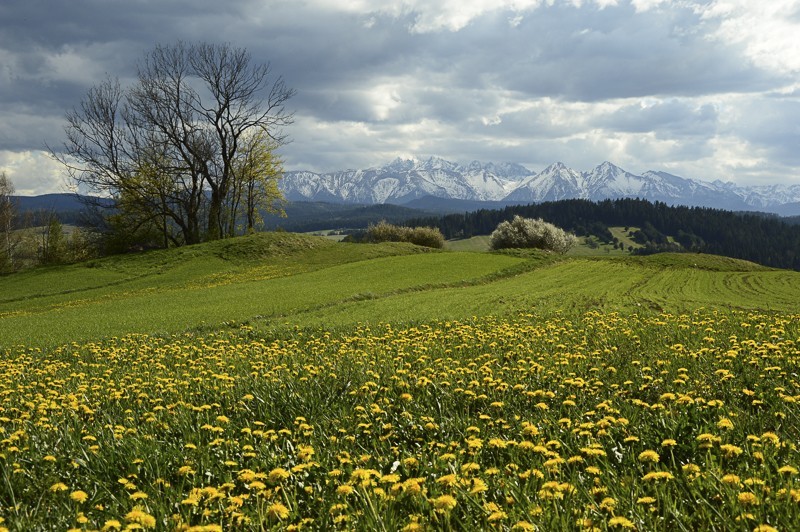 Przełęcz Osice