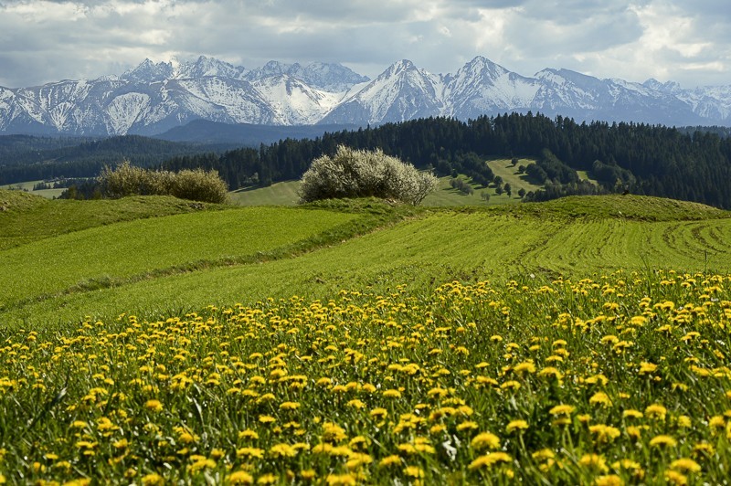 Przełęcz Osice