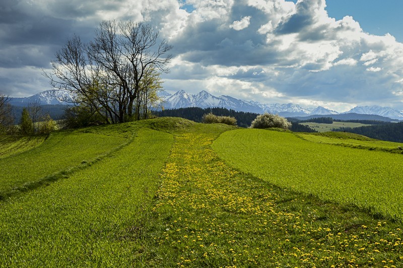 Przełęcz Osice