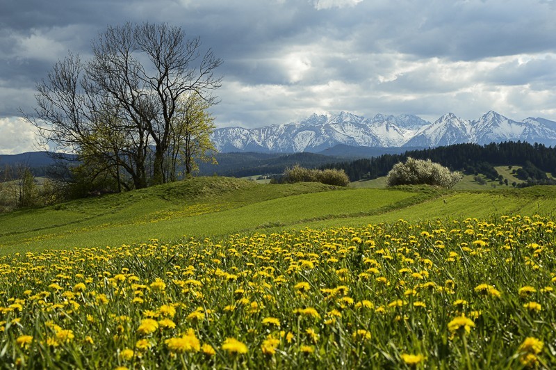 Przełęcz Osice