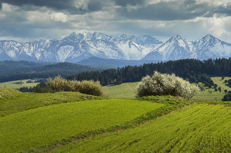 Przełęcz Osice