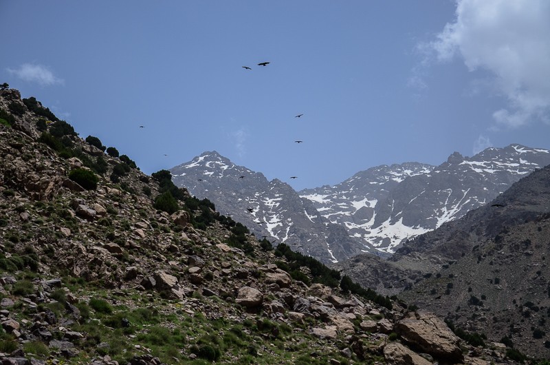 028 - Czwórka z przodu - Jebel Toubkal