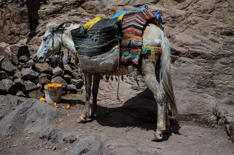 038 - Czwórka z przodu - Jebel Toubkal