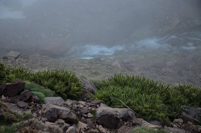 072 - Jebel Toubkal - na dachu Maroka