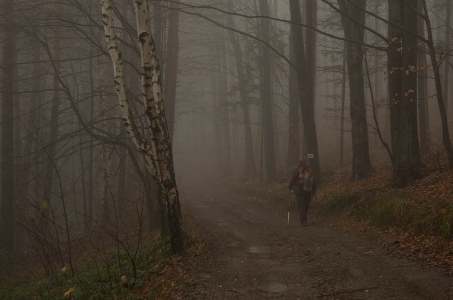 Mglista Trzonka na rozruch. Beskid Mały mgielny