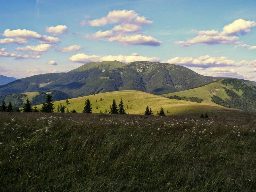 Granią Tatr Niżnych: Donovaly – Hiadelskie Sedlo