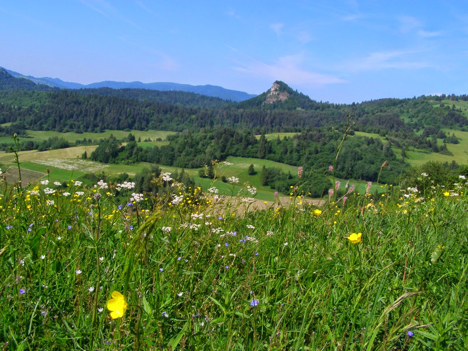 Pieniny