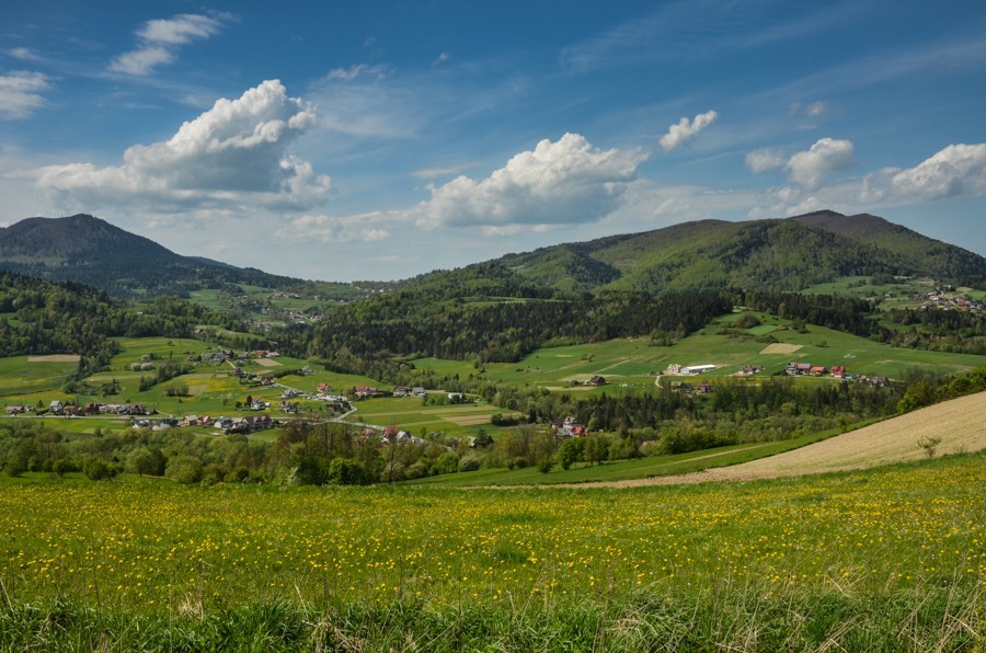 Czarny szlak Rabka - Mszana