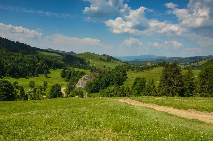 Zielone Małe Pieniny i Wysoka. W to mi graj!