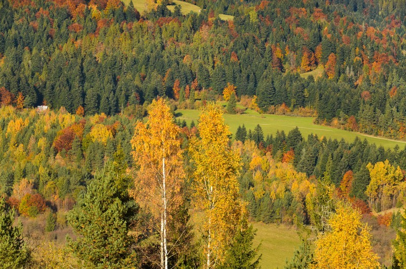 Veterný vrch, czyli Magura Spiska po raz pierwszy