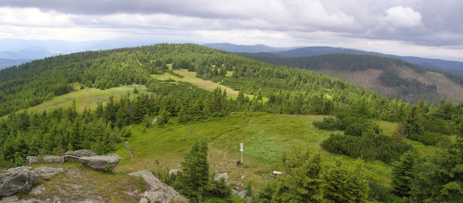 Skalisko – Góry Wołowskie widokowe i wiatrołomowe