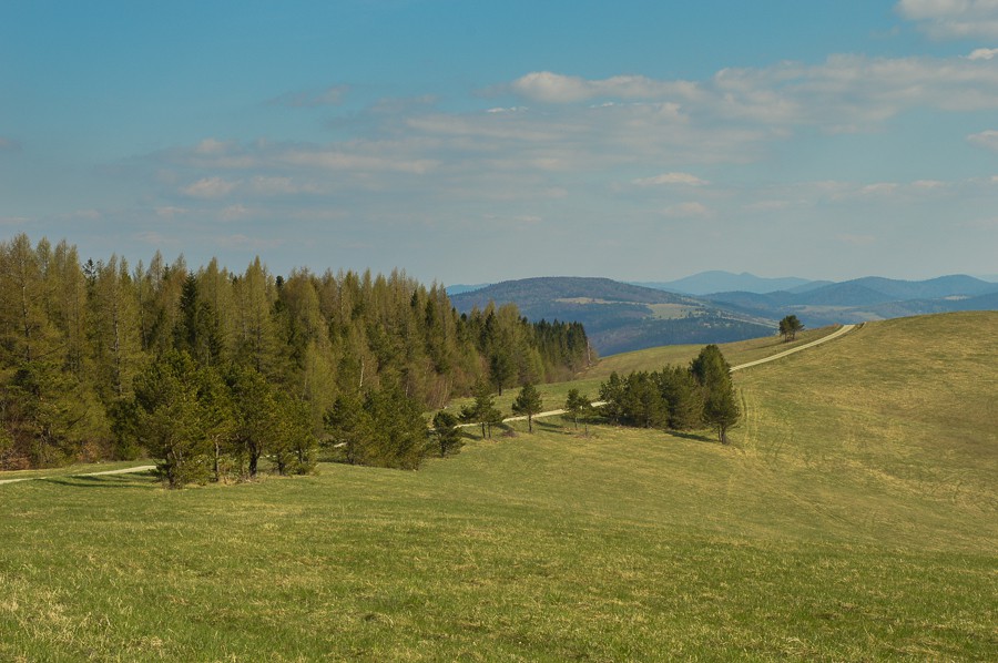 Beskid Barwinkowy. Rzepedka, Rzepedź i Szczawne