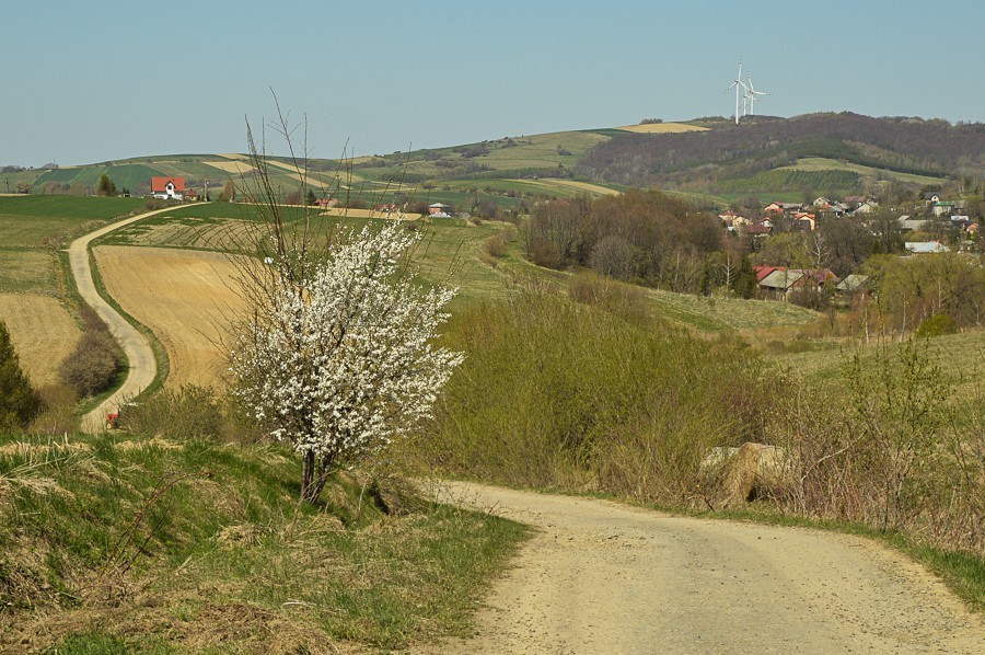 Kamienne – wysiedlona wieś Pogórza Bukowskiego