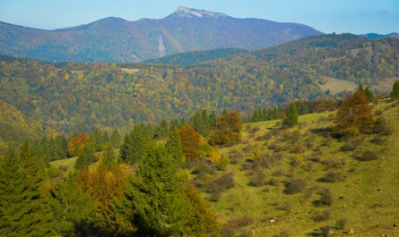 Čičmany – Fačkovské sedlo