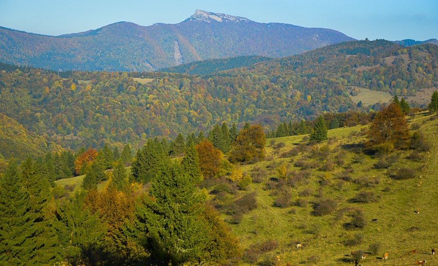 Čičmany – Fačkovské sedlo