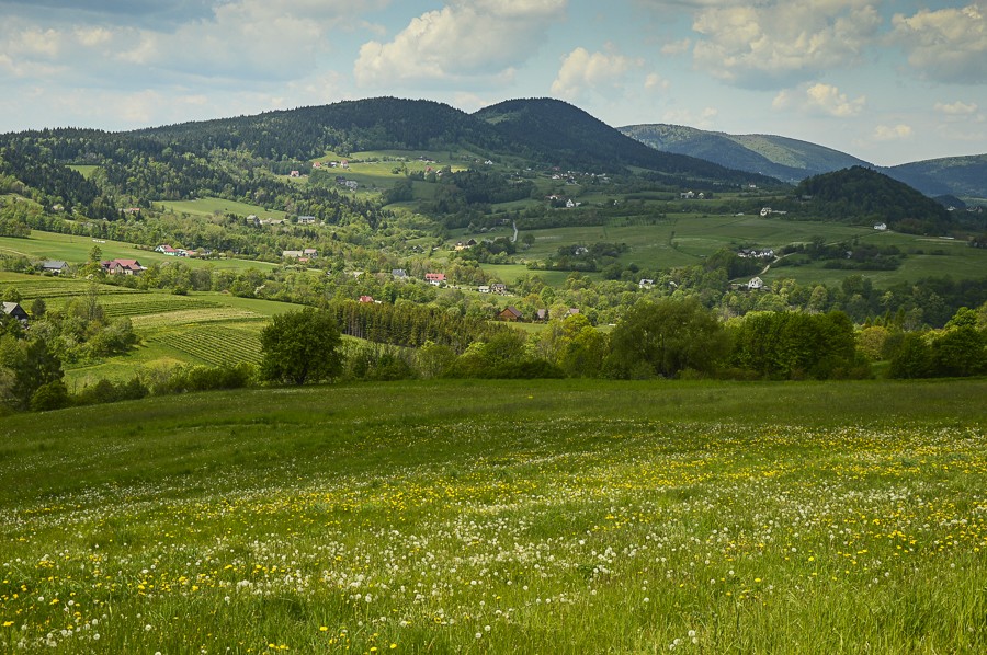 Pieninki Skrzydlańskie