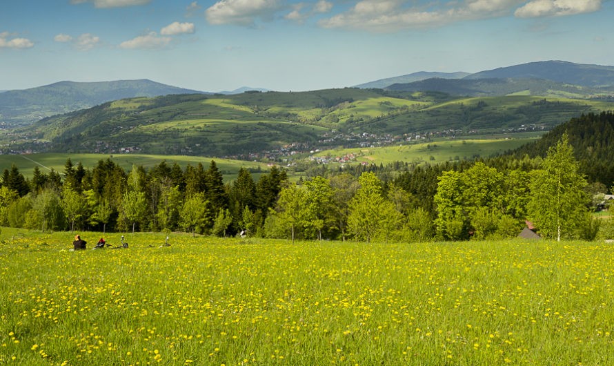 Góra Chabówka. Widokowe szlaki w okolicach Rabki