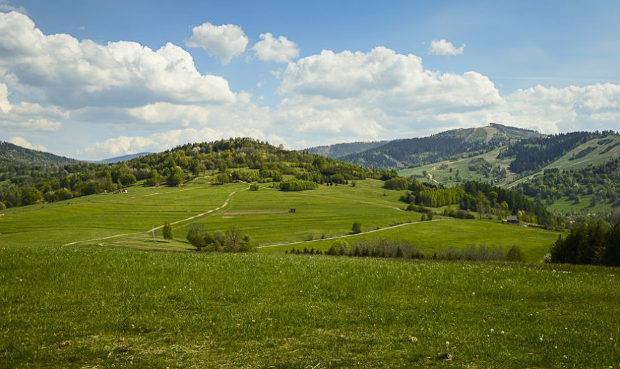 Magura Cięcińska przez Słowiankę i fort Wyrwidąb