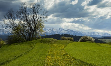 VeloCzorsztyn Przełęcz Osice