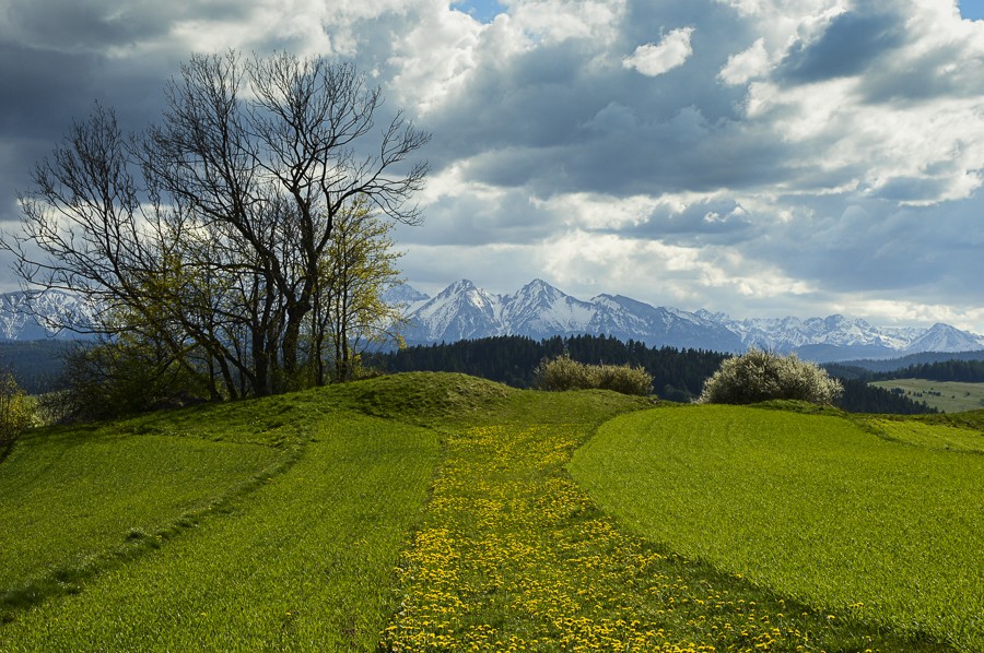 VeloCzorsztyn Przełęcz Osice