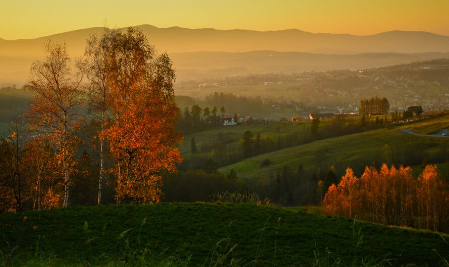 Jesień z brzozami odchodzi. Z Rdzawki na Maciejową