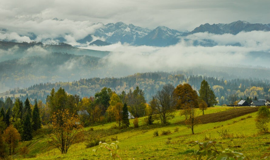 Przełęcz nad Łapszanką z Łapsz. Jesienne mgły