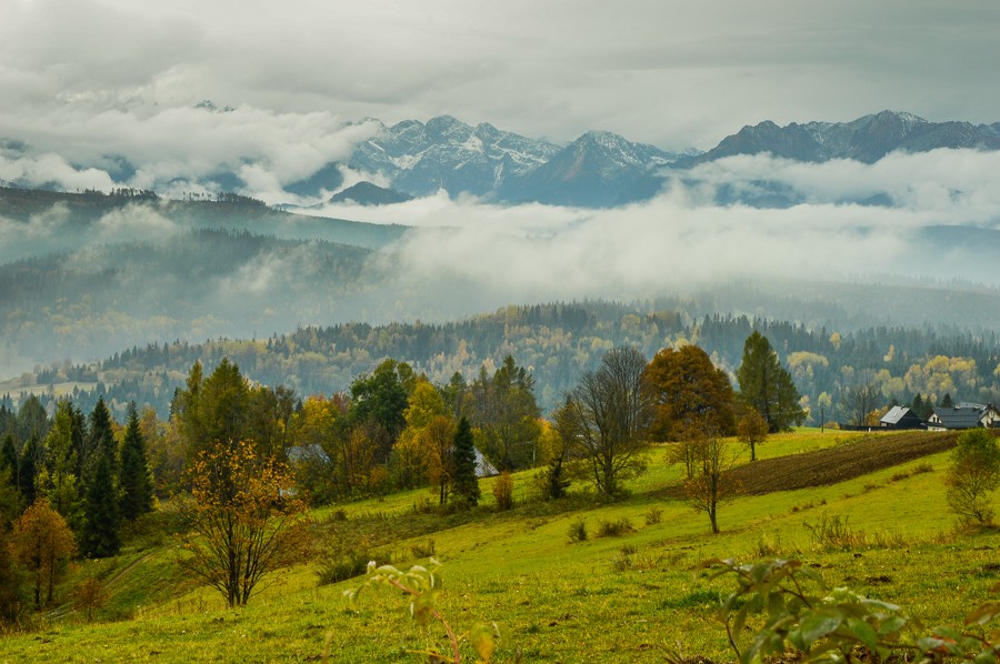 Przełęcz nad Łapszanką