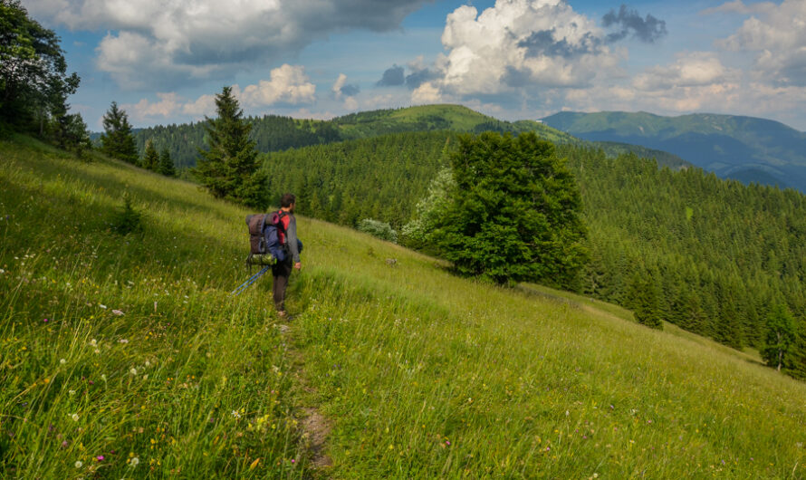 Ostredok – Krížna – Zvolen, czyli Halną Fatrą do Donoval