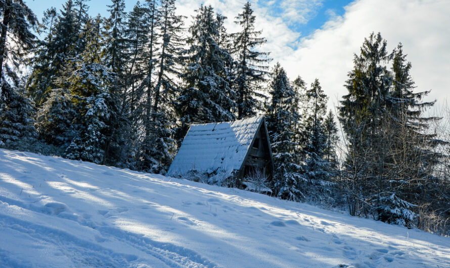 Przełęcz Sieniawska – Stare Wierchy. Gorce od początku