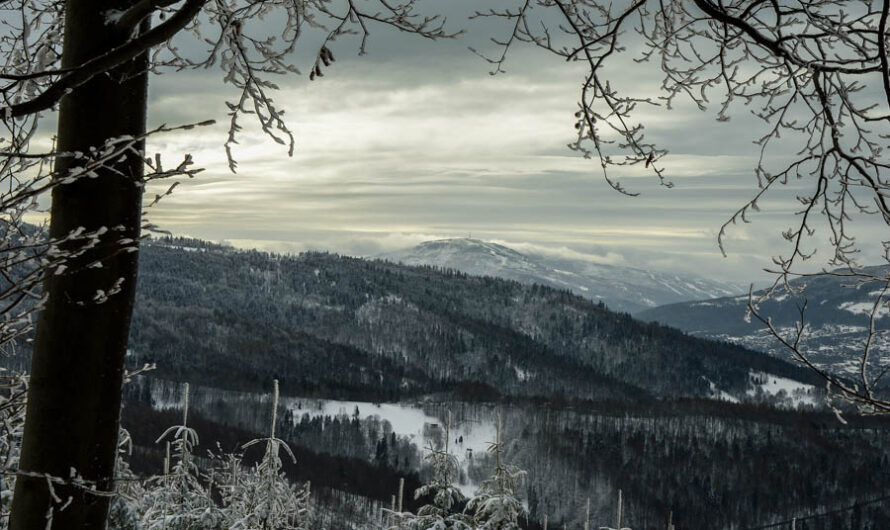 Przełęcz Przegibek – na Magurkę, na biegówki, na Gaiki